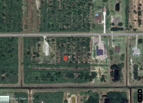 Palm Bay, FL 32909,277 Appaloosa ST