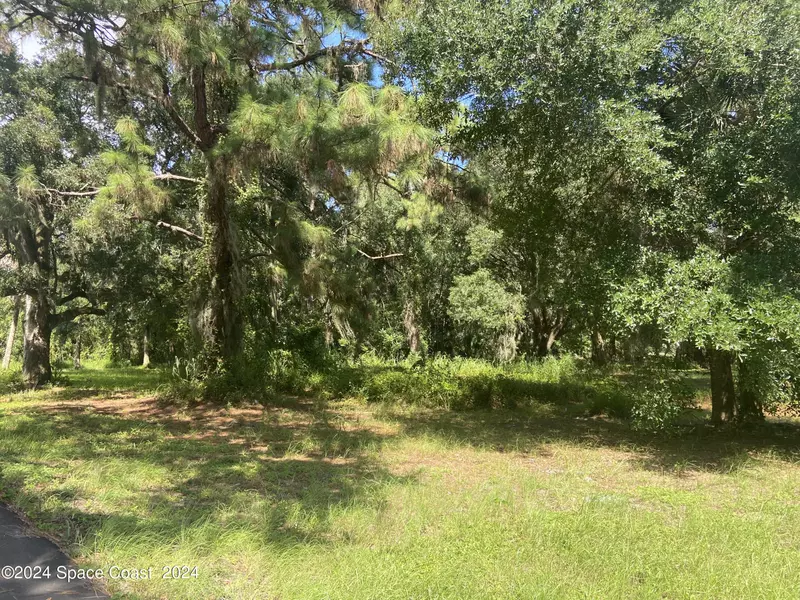 Xxx E Hickory CIR, Mims, FL 32754