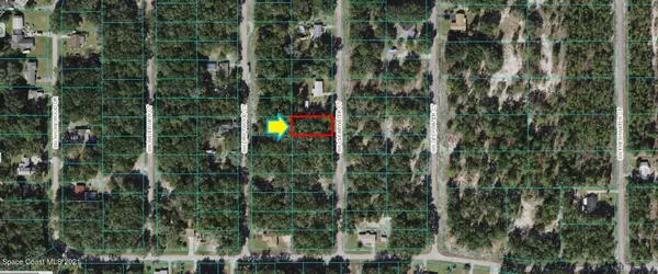 Dunnellon, FL 34431,0000 SW Clearwater CT