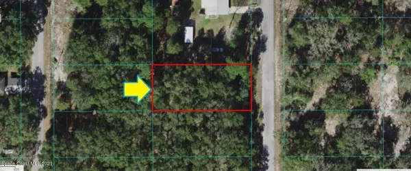 0000 SW Clearwater CT, Dunnellon, FL 34431