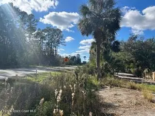 Interlachen, FL 32148,882 County Road 310