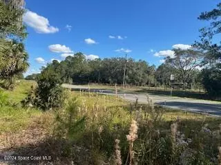 Interlachen, FL 32148,882 County Road 310