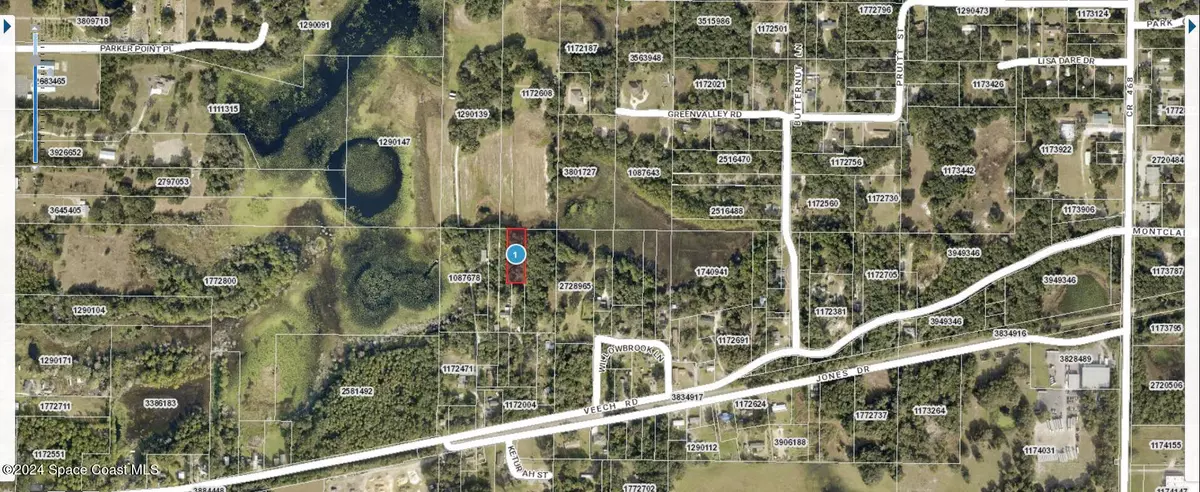 Leesburg, FL 34748,00 Willowbrook LN