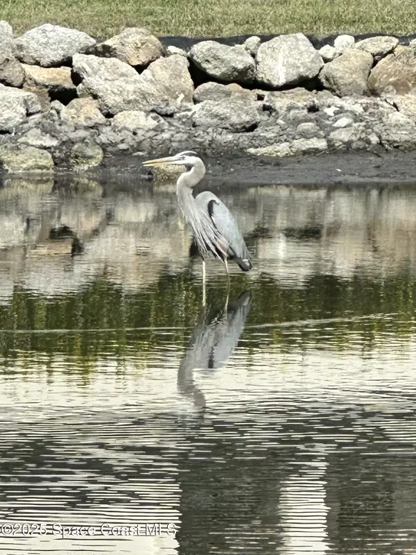 Cape Canaveral, FL 32920,5803 N Banana River BLVD #1012