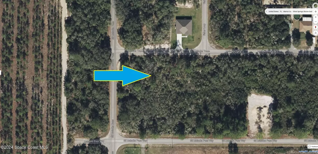 00000 Malauka Pass TRCE, Silver Springs, FL 34488