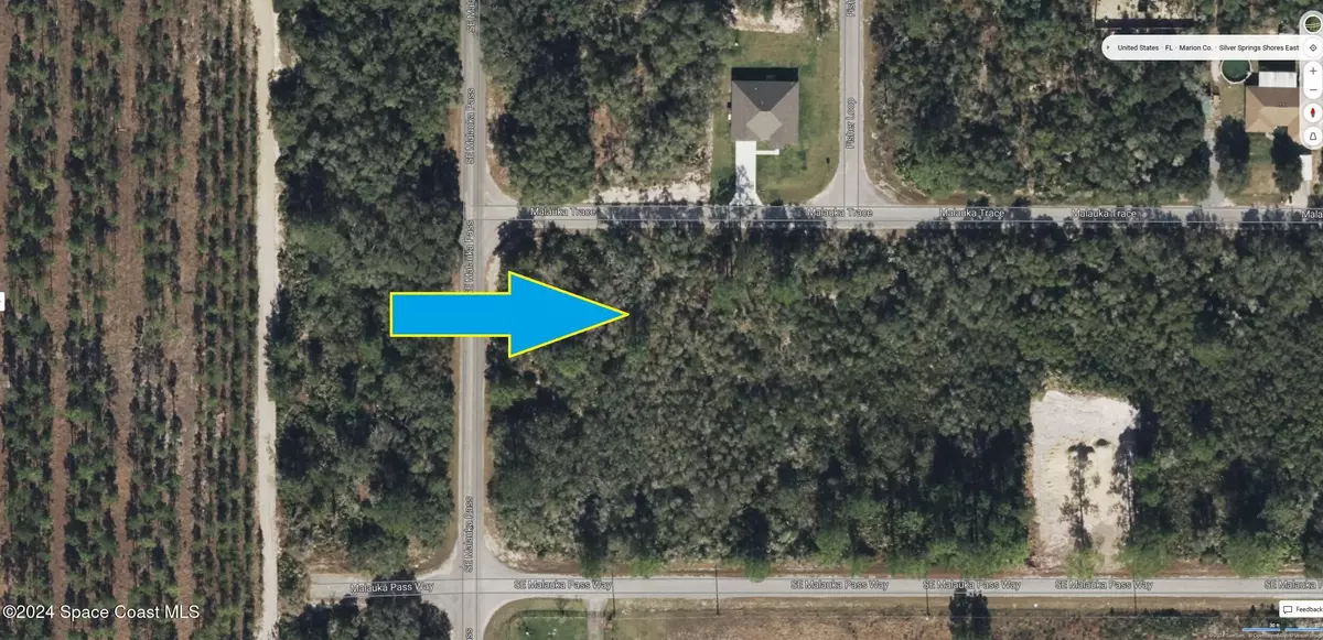 Silver Springs, FL 34488,00000 Malauka Pass TRCE