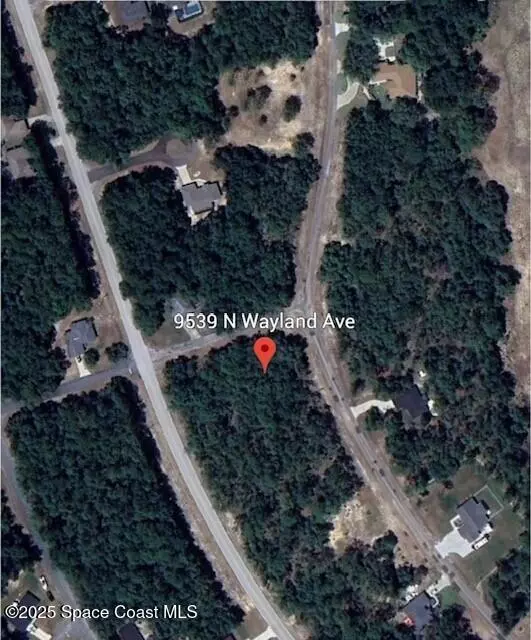 Citrus Springs, FL 34434,9539 N Wayland AVE