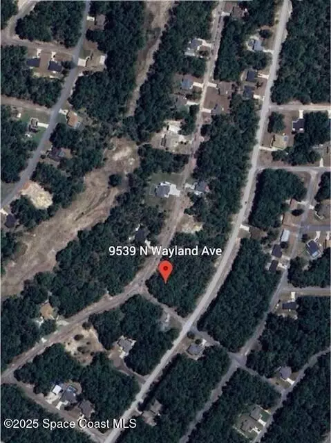 Citrus Springs, FL 34434,9539 N Wayland AVE