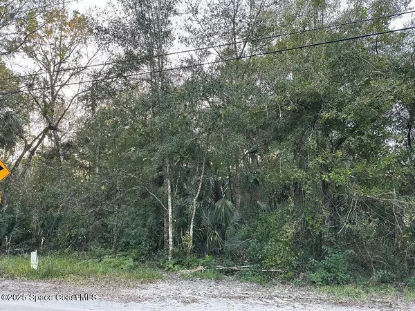 0000 Turpentine RD, Mims, FL 32754