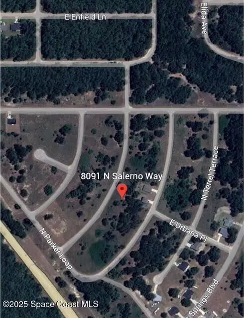 Citrus Springs, FL 34434,8091 N Salerno WAY