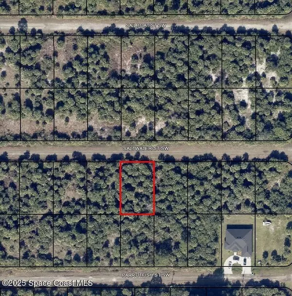 Palm Bay, FL 32908,834 Saltwater ST SW