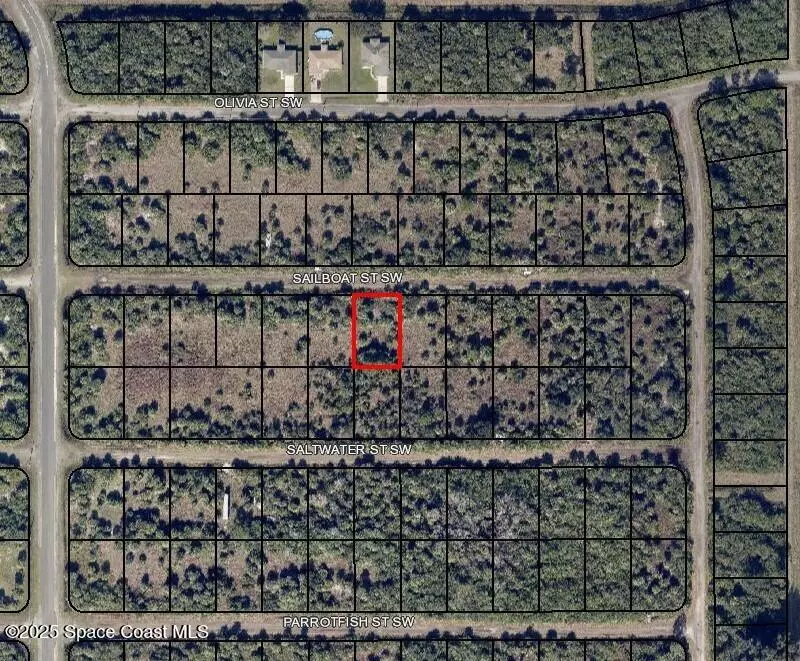 Palm Bay, FL 32908,708 Sailboat ST SW