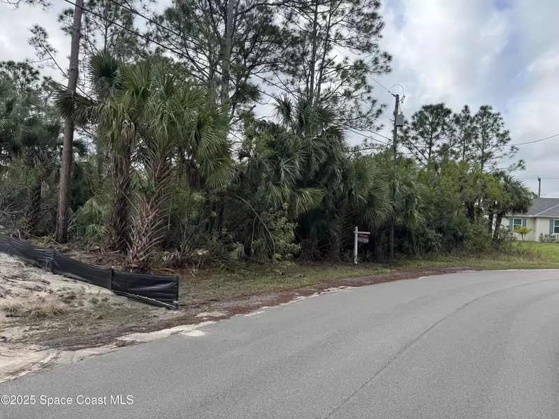 3395 SW Fitzpatrick AVE, Palm Bay, FL 32908