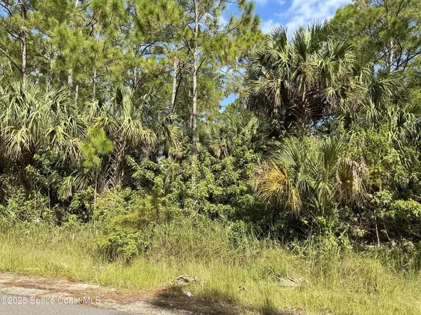 Palm Bay, FL 32908,Tbd Lot 9 Frederick ST SW