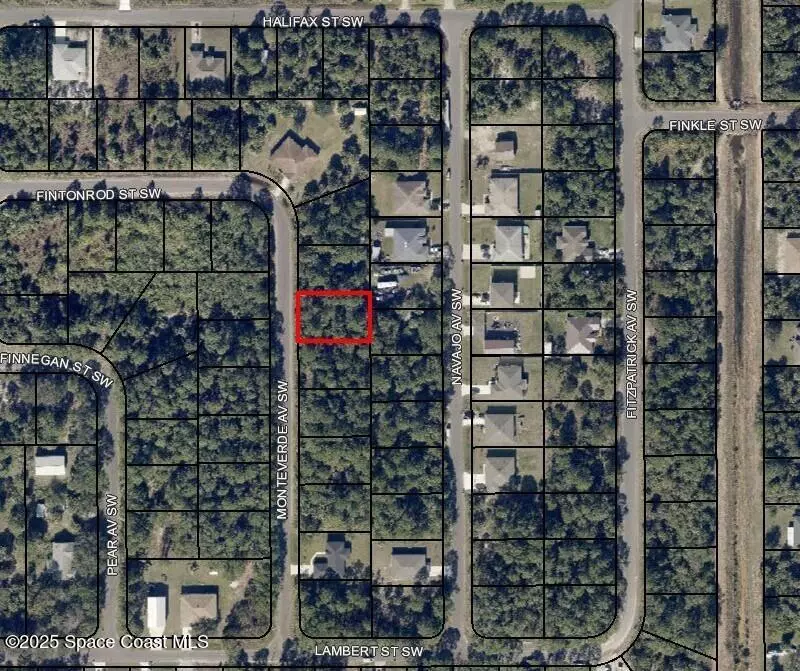 Palm Bay, FL 32908,3337 Monteverde AVE SW