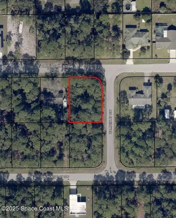 432 Falls Church ST SW, Palm Bay, FL 32908