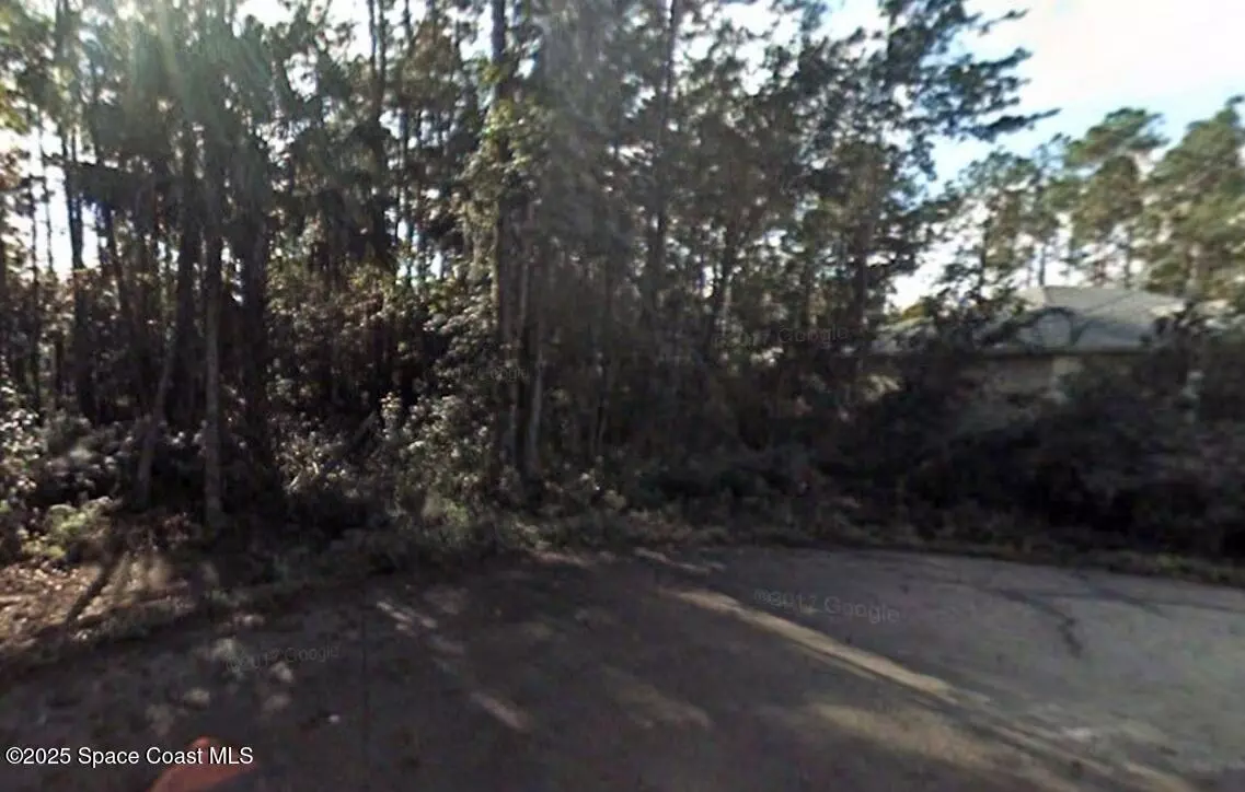 Palm Coast, FL 32164,20 Lleberry PATH