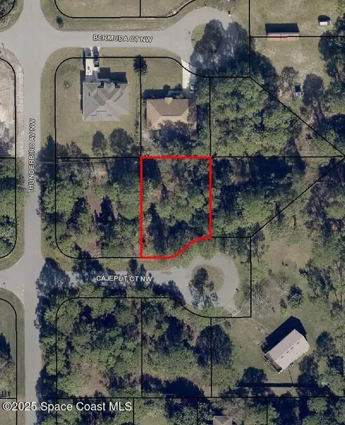 1817 Cajeput CT NW, Palm Bay, FL 32907