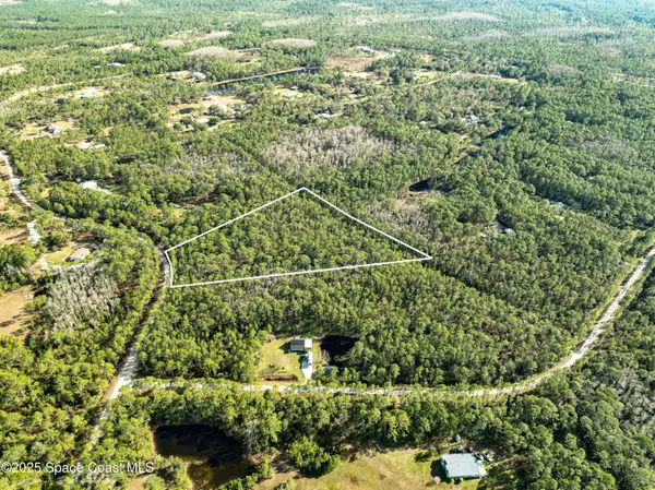 Mims, FL 32754,10160 Blackberry RD