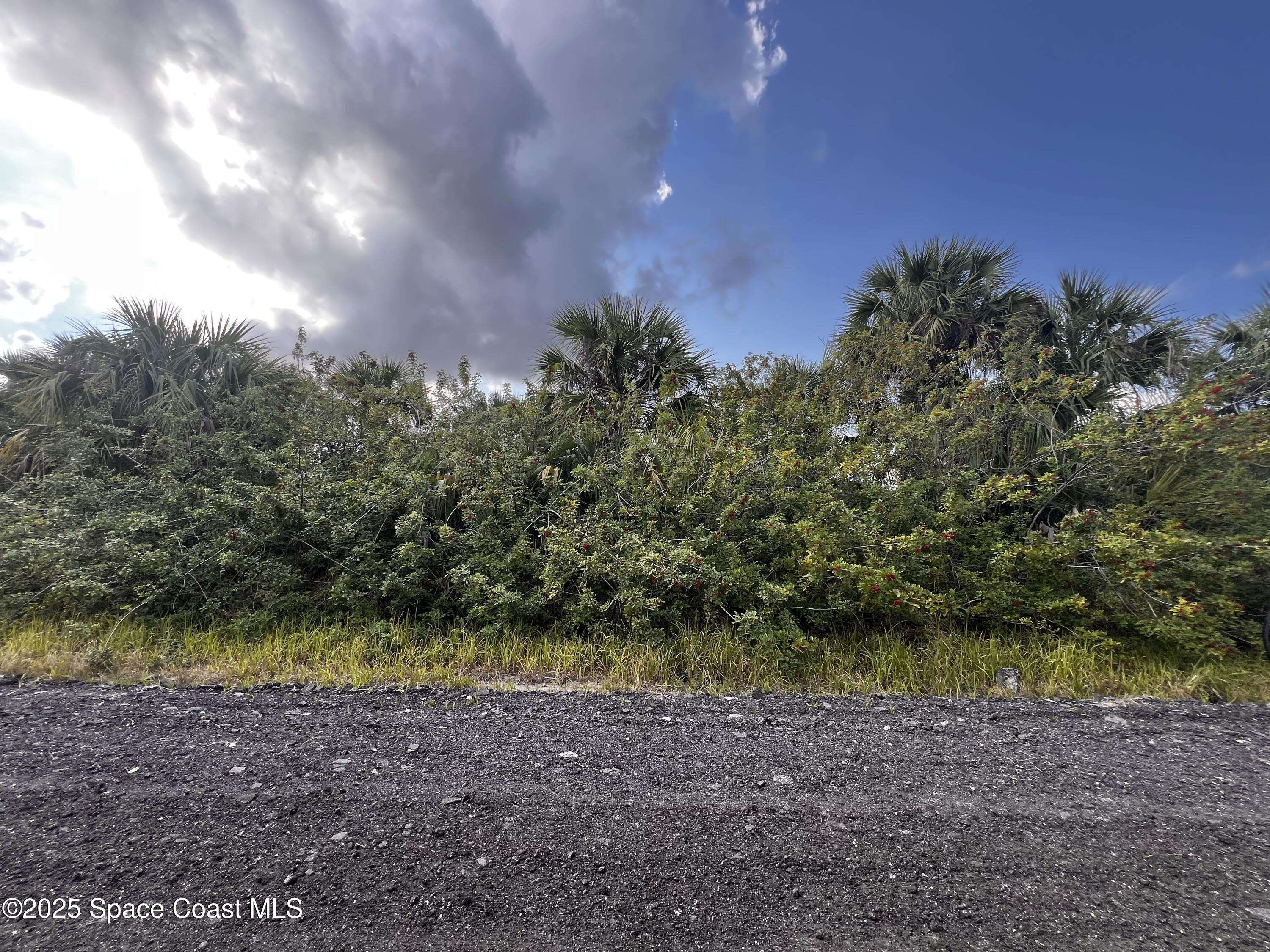 Palm Bay, FL 32908,1998 Basinger AVE SW