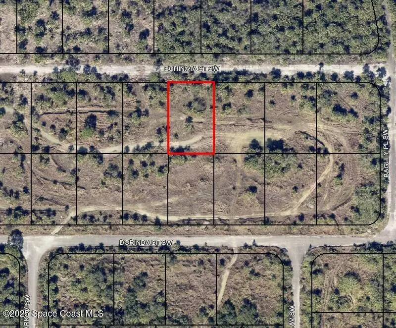 Palm Bay, FL 32908,1020 Echinata ST SW