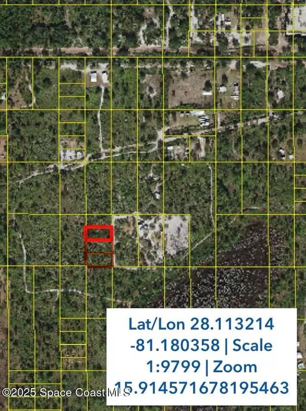 St. Cloud, FL 34771,0 Holopaw Groves RD