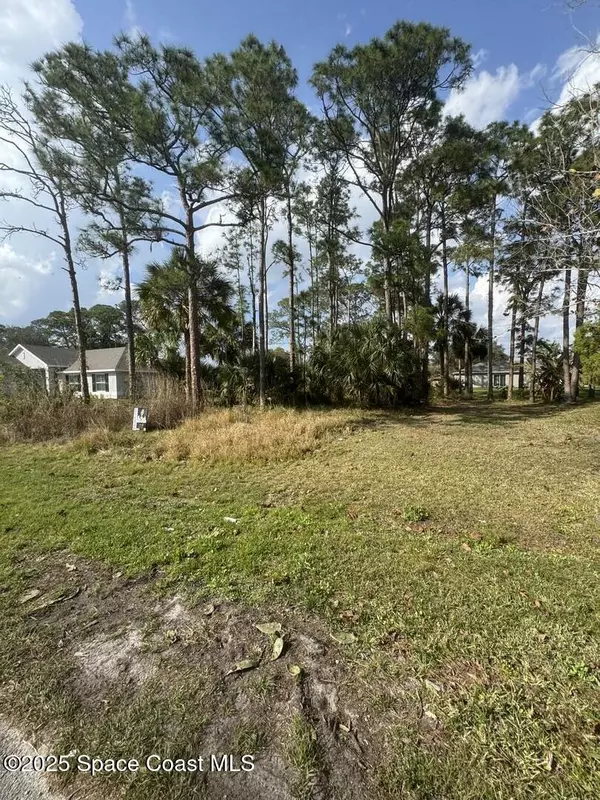 Palm Bay, FL 32908,443 Wayland RD SW