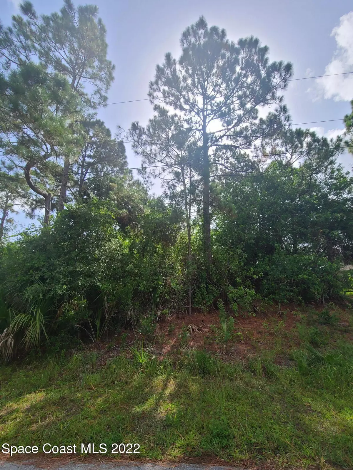 Palm Bay, FL 32908,1077 Hammacher AVE SW