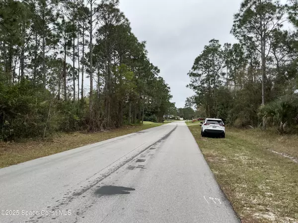Palm Bay, FL 32908,125 Santa Rosa AVE SW