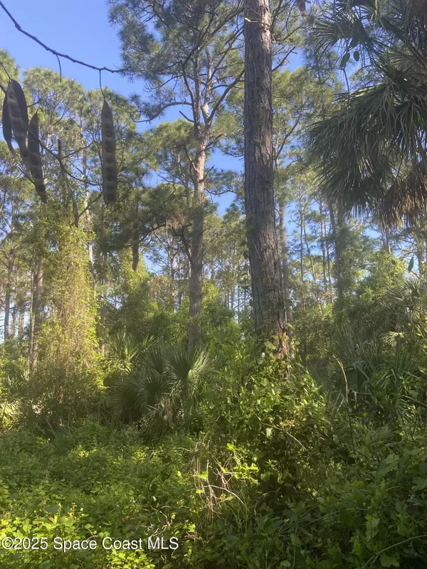 Palm Bay, FL 32907,889 Helm AVE NW