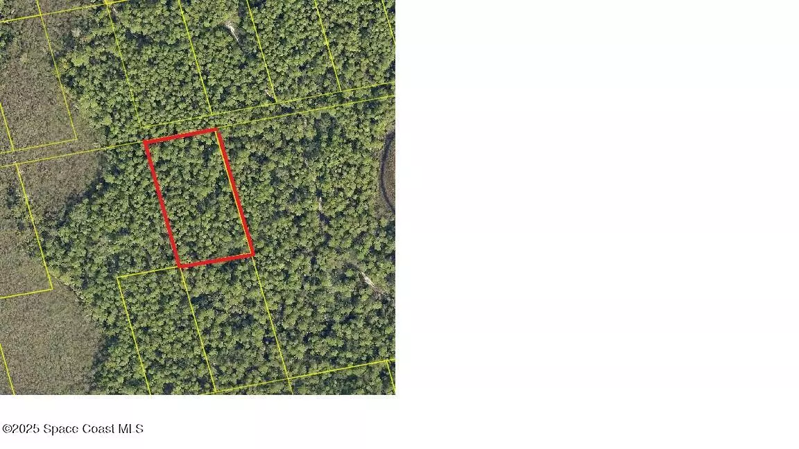 Mims, FL 32754,0000 Unknown