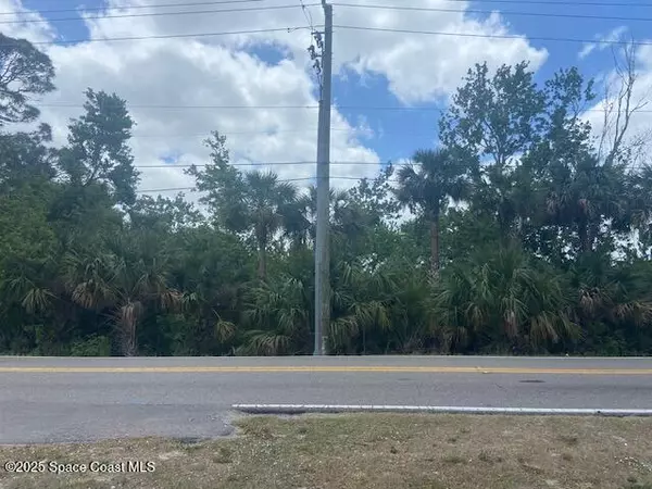Tbd Canaveral Groves Blvd BLVD, Cocoa, FL 32926