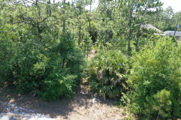 Palm Bay, FL 32909,3024 Oakwood AVE SE