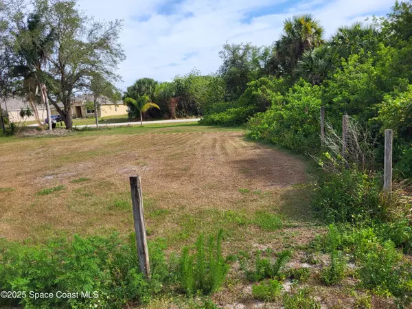 Palm Bay, FL 32908,0 SW Fitzsimmons ST