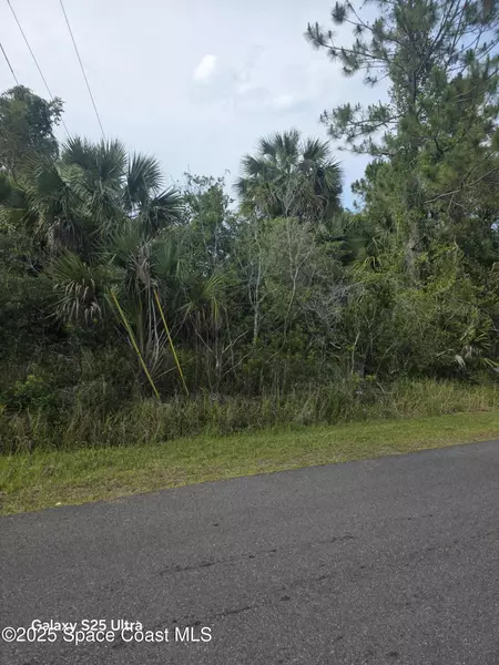 407 Lamon ST SW, Palm Bay, FL 32908