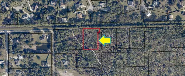 Grant-valkaria, FL 32950,0000 No Access E Of Hideaway LN