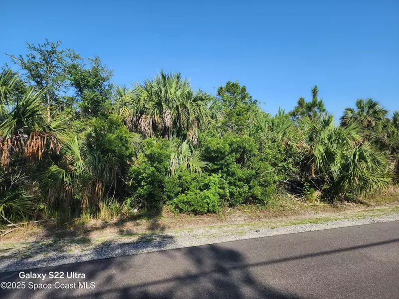 3258 Lakeland AVE SW, Palm Bay, FL 32908