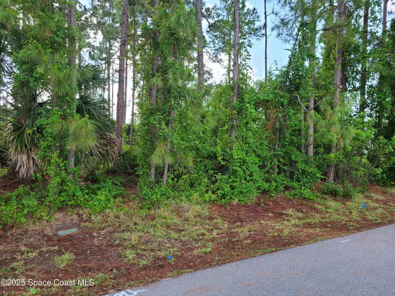 875 Cochran RD SE, Palm Bay, FL 32909