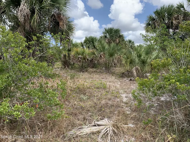 2457 Bolton AVE SW, Palm Bay, FL 32908