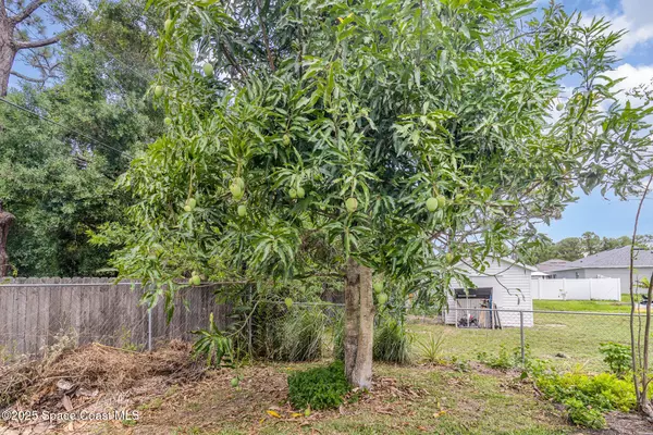 Palm Bay, FL 32909,251 District ST SE