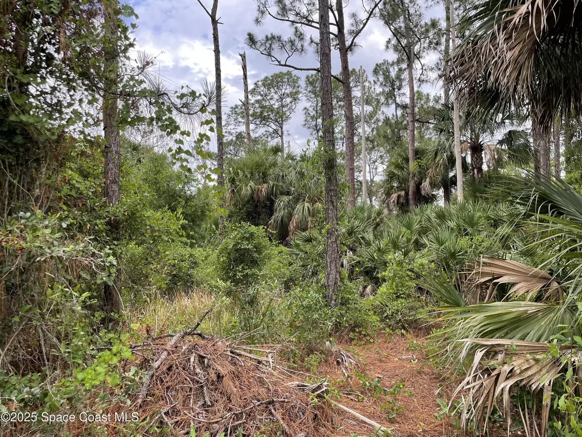 Palm Bay, FL 32908,662 Sanford ST SW