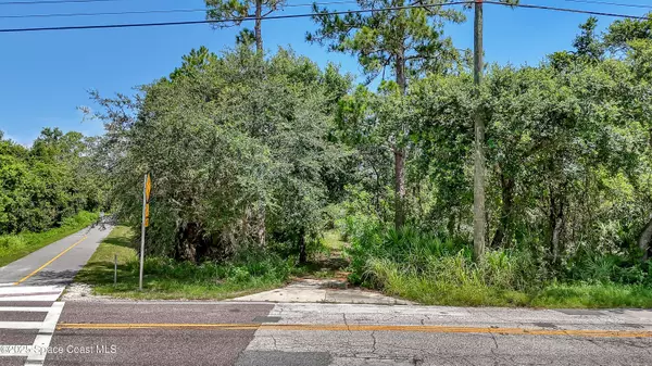 Mims, FL 32754,4300 Burkholm RD