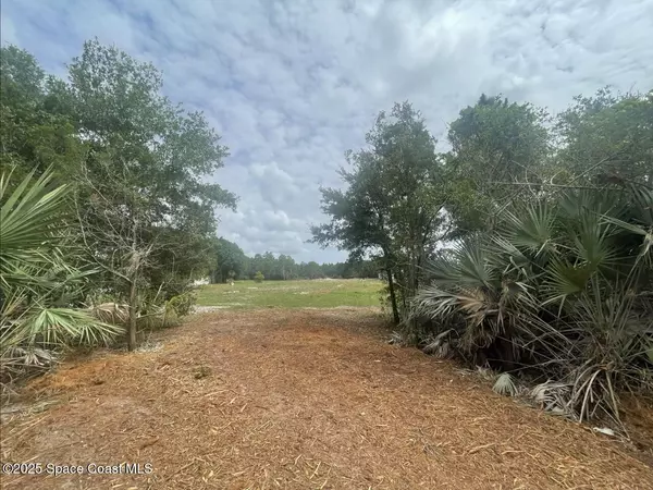 Grant-valkaria, FL 32949,4660 Mount Pleasant AVE