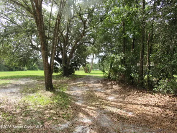 New Smyrna Beach, FL 32168,1255 S State Road 415