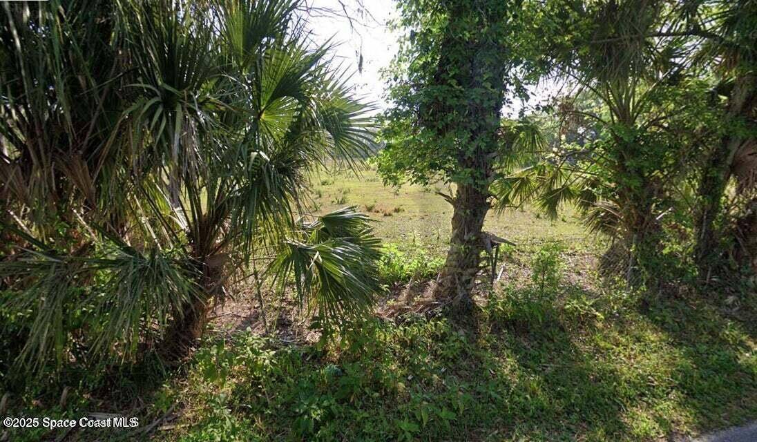 Mims, FL 32754,0000 Ford RD