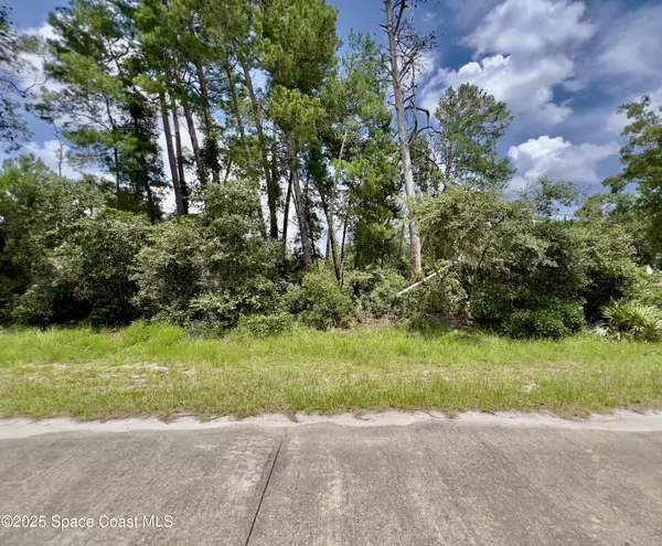 Mims, FL 32754,4181 Cinnamon Teal DR