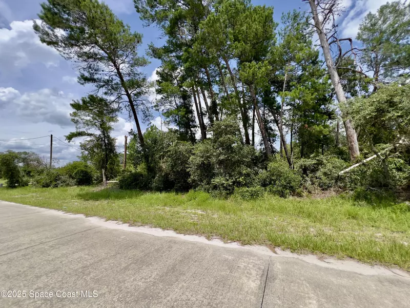 4181 Cinnamon Teal DR, Mims, FL 32754