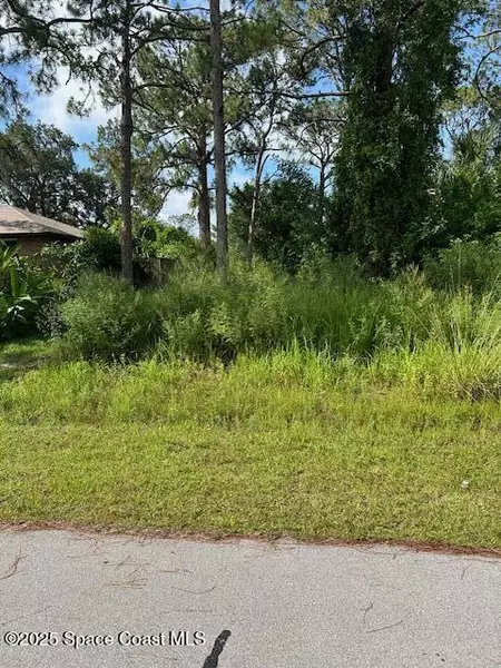 854 Thuringer ST NW, Palm Bay, FL 32907