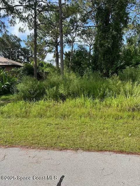 854 Thuringer ST NW, Palm Bay, FL 32907