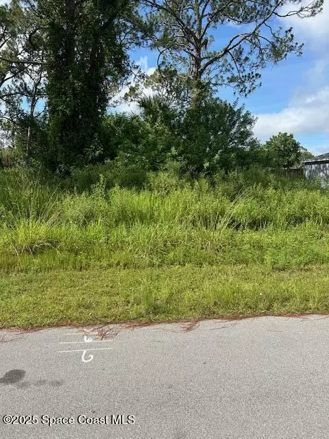 Palm Bay, FL 32907,854 Thuringer ST NW